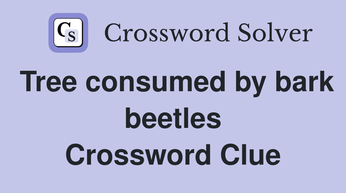 Tree consumed by bark beetles Crossword Clue Answers Crossword Solver